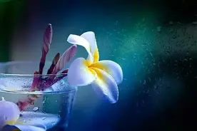 情人节，写给自己的情书图片