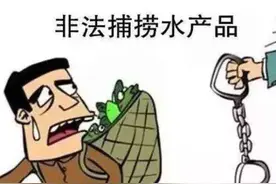 「十堰」为了丈母娘的一碗鱼汤，郧阳两男子关两个月图片