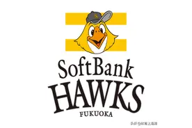 棒垒球带起运动潮流 软银鹰华东区联盟青少年棒球挑战赛圆满结束图片