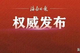 沈晓明：让海南的子孙后代捧上营商环境这个“金饭碗”图片