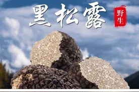 吃不起系列——黑松露图片