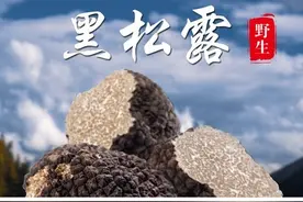 吃不起系列——黑松露图片