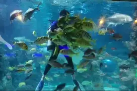 杭州孩子很喜欢的海底世界要搬了？原因让人一声叹息图片