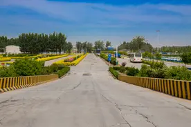 挂科后教练为什么不让立即练车？图片