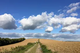 英格兰南唐斯丘陵国家公园，喜欢徒步旅行的露营的都可以来这图片