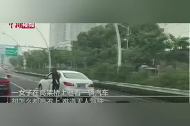 停车忘挂挡车自己跑了！司机高架上追车图片
