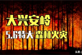 被遗忘的大兴安岭特大火灾，5.88万军民靠什么降服森林大火？图片