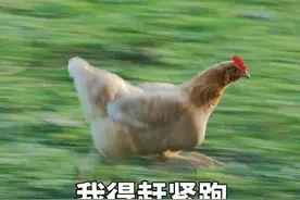 表情｜我得赶紧跑图片