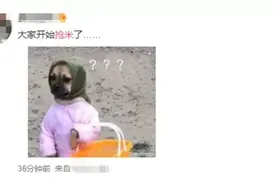网传有粮食危机要囤米？权威解答来了！图片