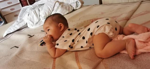 喝了花胶汤可以吃番茄吗 2026年喝了花胶汤可以吃番茄吗会中毒吗