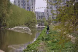 你肯定想不到，何家沟里竟然有很多鱼，每天都有很多人拿大网捞鱼图片