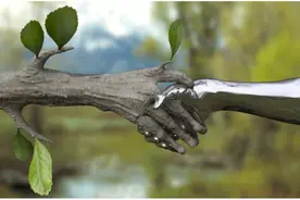天人合一 (Unity of Man and Nature)图片
