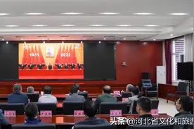 河北省文化和旅游厅组织全体干部集中收听收看纪念辛亥革命110周年大会图片