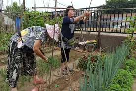 将台这片荒地改造完成，还能自己种菜图片