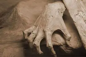距今9000年！新疆塔里木盆地发现一具木乃伊，竟做过“开颅手术”图片