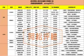 武汉32个滨江盘，怎么选？图片