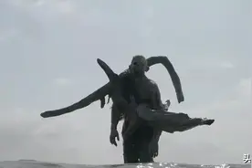 从目前的形势看，丧尸都要为自己的未来担忧了图片