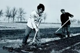 38年前，她挖到67900多枚银元，分文不取全部上交，现状如何？图片