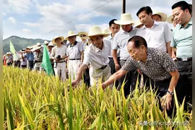 袁隆平去外国指导水稻培植，发生一件事，令当地博士主管记忆犹新图片