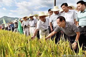 袁隆平去外国指导水稻培植，发生一件事，令当地博士主管记忆犹新图片