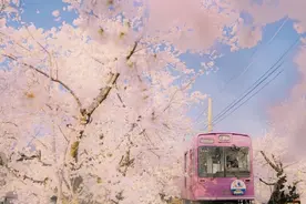 心理学：微信里干净的男人，到底在想什么图片