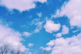 白岩松：漂亮的失败是另一种成功图片