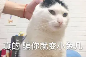 表情包 | 王者打不过 飞车跑不赢 吃鸡吃不到 网恋还不行图片