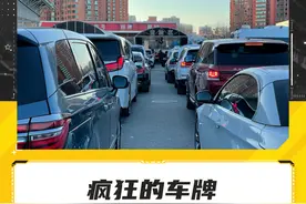疯狂的车牌图片