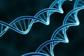 人类寿命的极限有多少？这2种科学计算方式得出的结果，让人失望图片