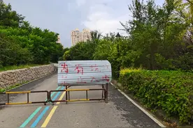 注意！这俩公园需要改进的地方不少图片