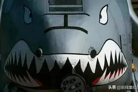 A系列的对地之王，张着大嘴的“海盗”和打不死的“疣猪”图片