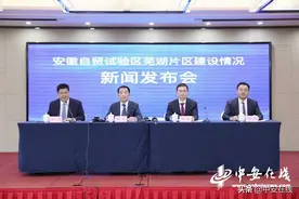 安徽自由贸易试验区芜湖片区落地项目达132个图片