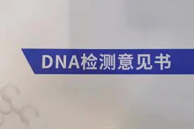 DNA亲子鉴定师：三万个家庭“不确定”的性与爱图片