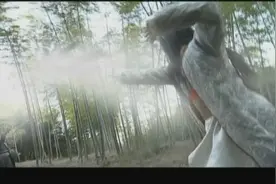 女岛主一招秒杀一群锦衣卫，这武功连老太监看了都怕，乖乖离开视频封面