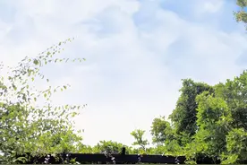 寻味罗田：燕儿谷有别人学不走的气质，此话不虚图片
