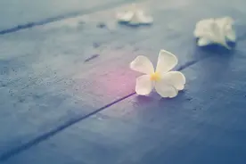 女人想你了，不会轻易说出口，但从她身上的三个“迹象”可以看出图片