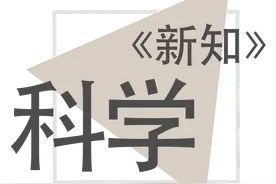 《新知》对话 · 曹则贤 | 以“理”服人图片