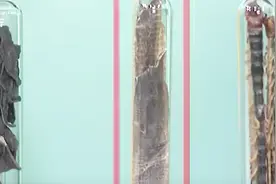 大医草本堂：蚯蚓又名地龙，治疗脑血管病效果好，但是要慎用视频封面