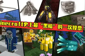 我的世界：当年冰术师落选另有内情？Dream操纵投票，引起众怒图片