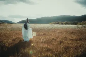 欲望的代价图片