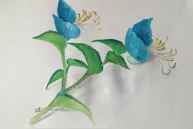 绘画竹叶草，步骤简单，非常适合零基础朋友图片