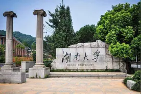 发现一只蟑螂就有一窝，湖南大学发现3篇抄袭论文图片
