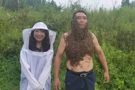 刺激！和凉都养蜂大叔一起“招蜂引蝶”图片