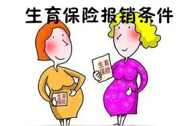 成都生育保险报销怎么报销？在哪报？需要什么资料？图片
