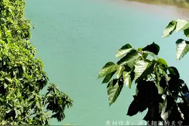 《闪闪的红星》小小竹排江中游片段，拍摄地的美丽风景分享！图片