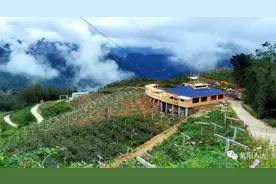 大山深处领头雁图片