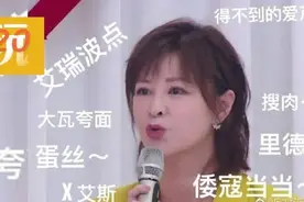 太有才！网友自创“谐音梗”成语，秒懂《乘风破浪的姐姐》名场面图片