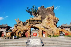 这棵世界上最知名的大槐树，成就了历史上最大规模的一次移民图片