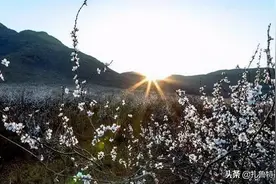 散文：一路风光图片