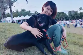 流浪狗每天晚上来警局睡觉，天不亮就离开，警察偷偷跟踪后发现图片